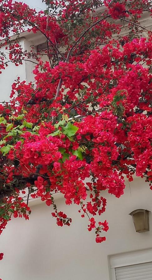 Stamatias Home, Fully Equipped Cottage 5 Minutes From The Sea Chania  Exterior photo